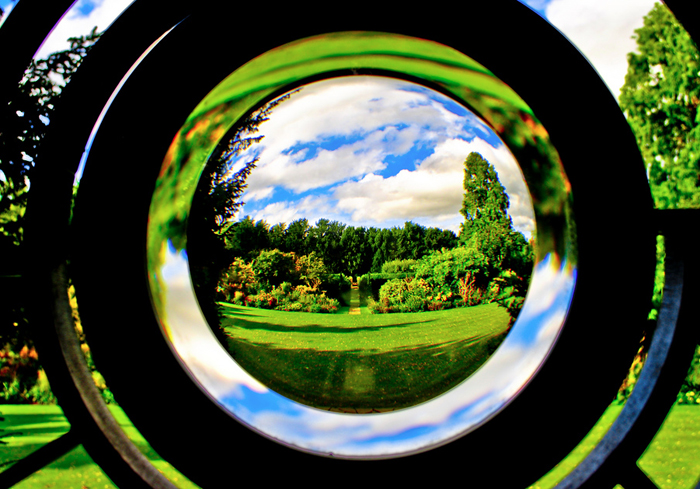 Focusing on business visibility