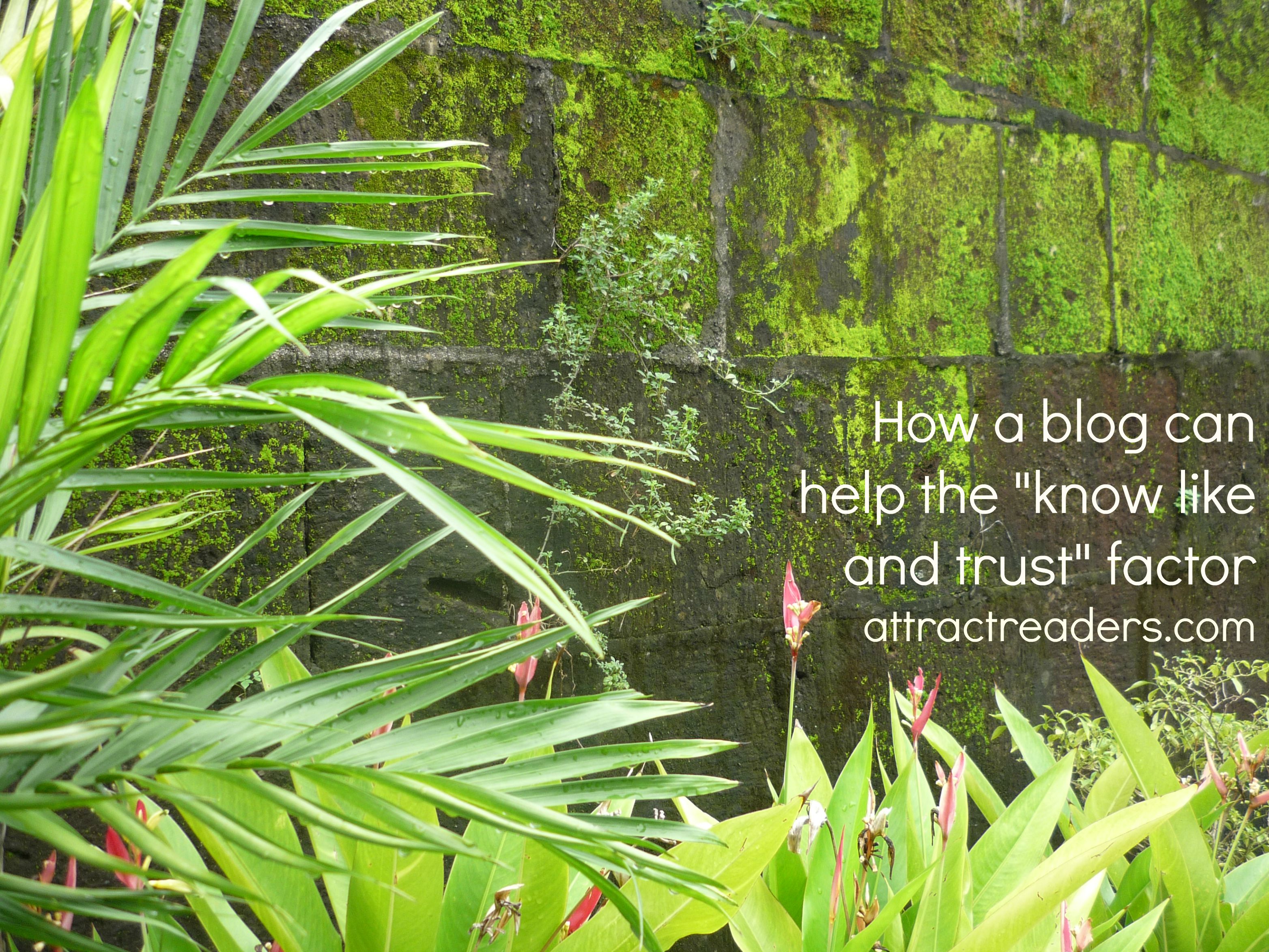blog trust