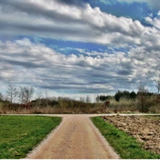 career path