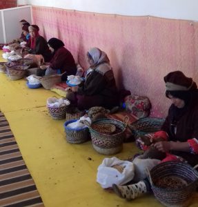 women argan oil collective