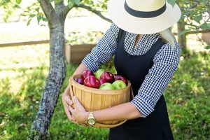 estrogen dominance dangers