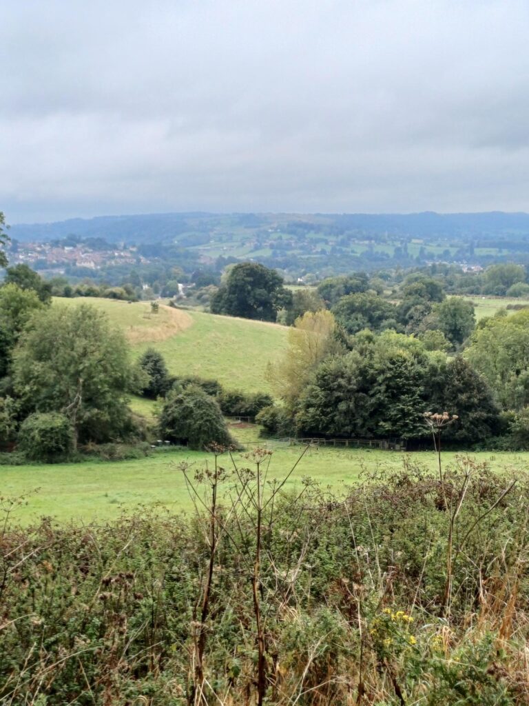 landscape to stay calm on way to success